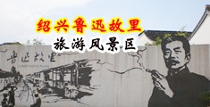 免费插鸡网站中国绍兴-鲁迅故里旅游风景区